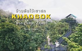 Khao Sok Tree House Resort